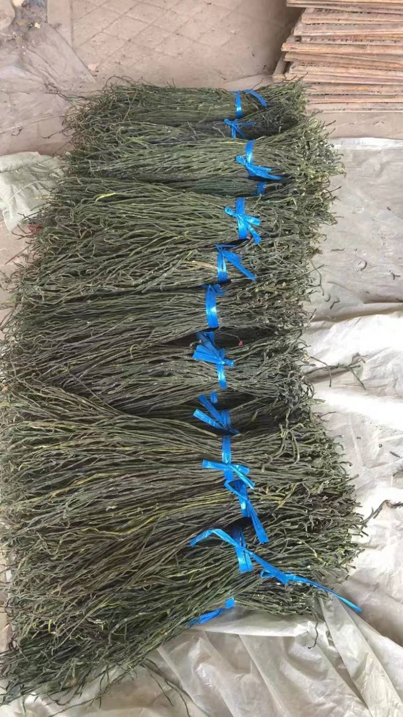 干豆角品种规格齐全常年供货价格便宜欢迎选购