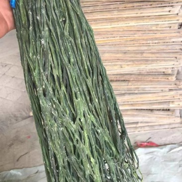 干豆角品种规格齐全常年供货价格便宜欢迎选购