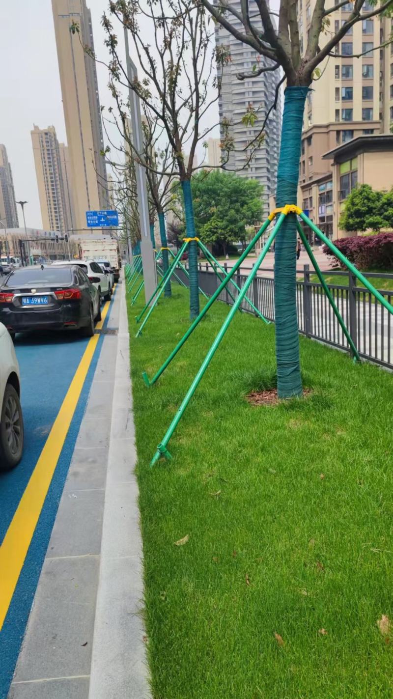 玻璃纤维杆玻璃纤维管绿化支撑杆树木支撑杆香蕉树支围栏立柱
