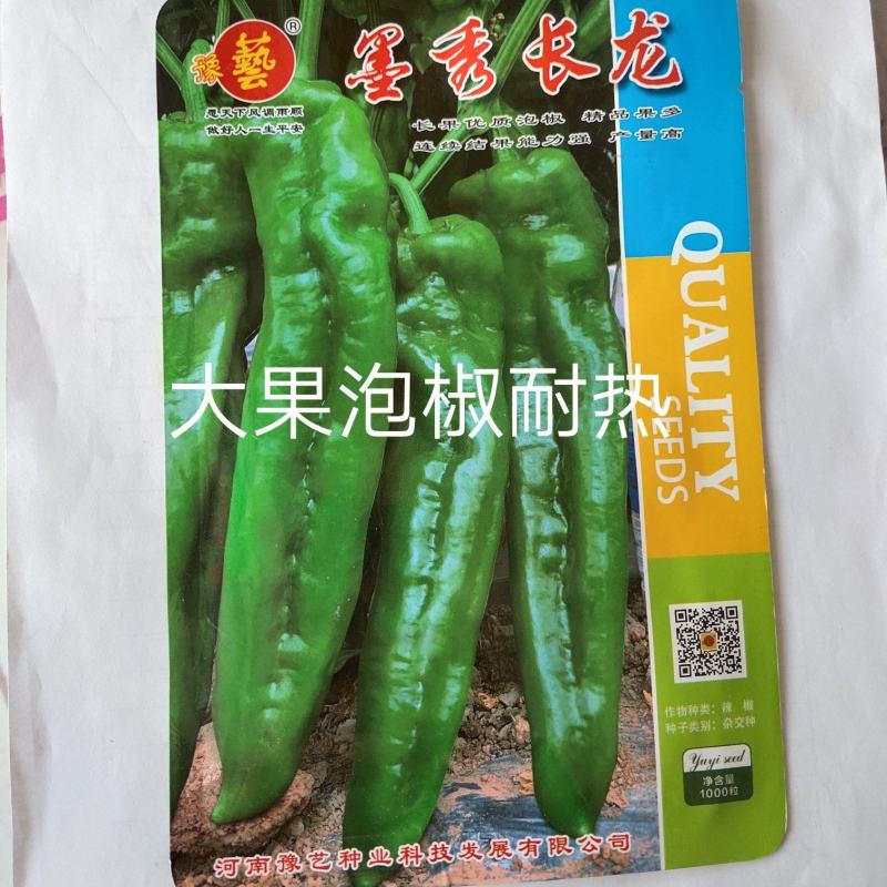 墨秀长龙泡椒辣椒种孑中早熟翠绿皮微辣坐果能力强上部不变短