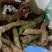 过江龙，和各种血藤累，根子药！