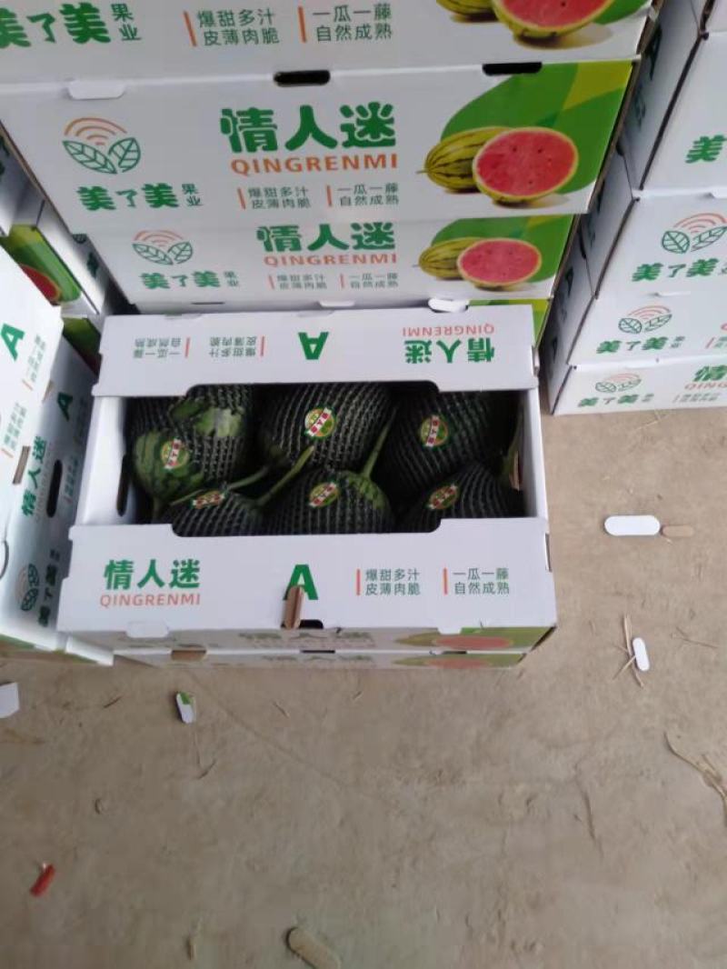 小糖丸儿，早春红玉，一手货源，社区团购，量大从优