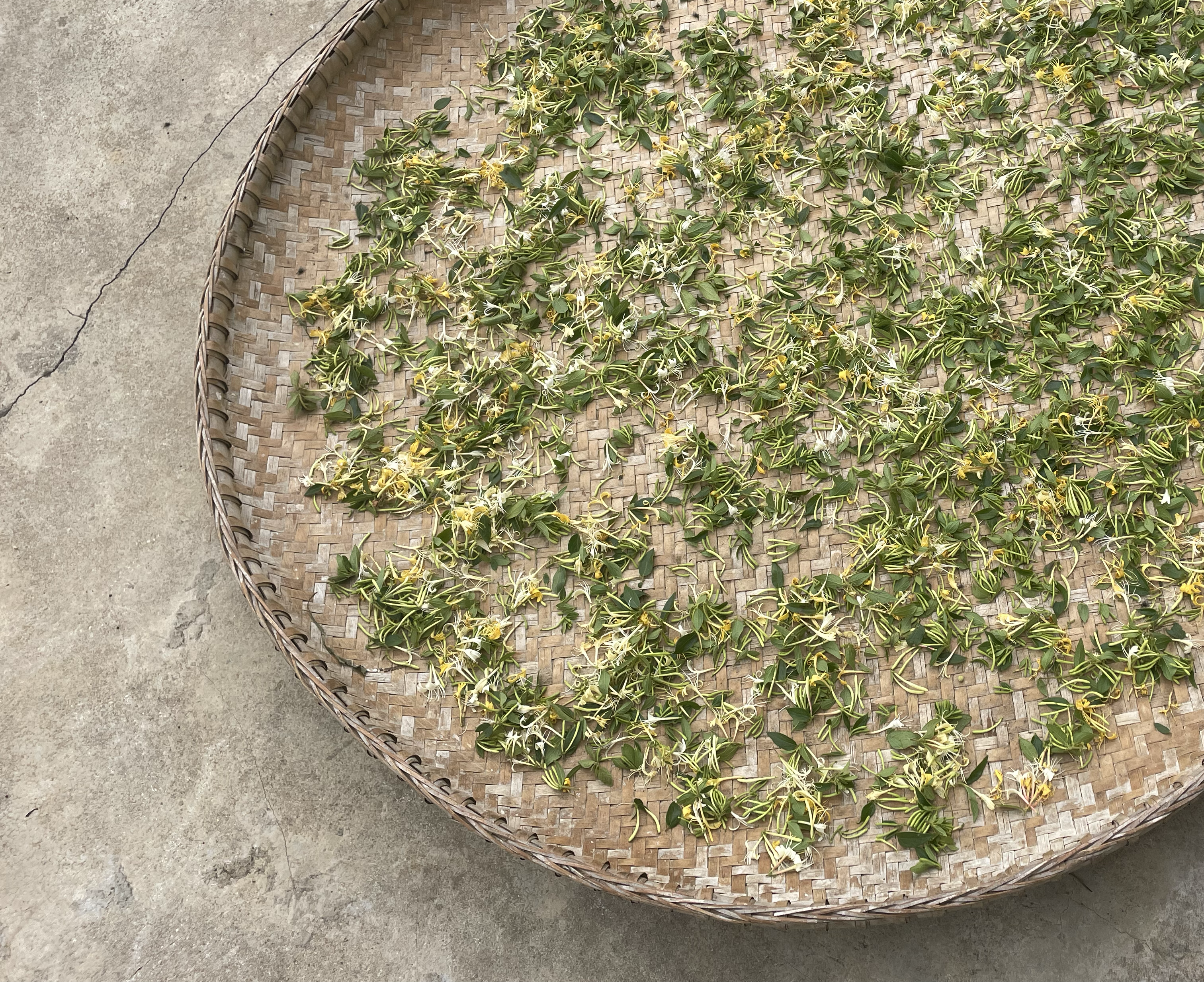 竹编簸箕上整齐摆放着金黄色的萝卜干条,在阳光照射下微微泛光,背景为蓝天白云下的农家屋檐 竹编簸箕上整齐摆放着金黄色的萝卜干条,在阳光照射下微微泛光,背景为蓝天白云下的农家屋檐