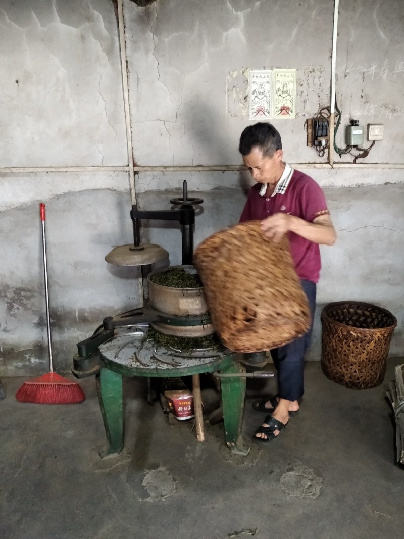 大山里的茶叶
