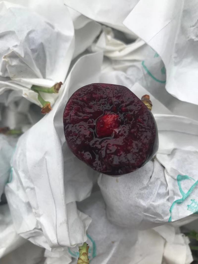 精品汉源车厘子