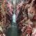纯干冷鲜牛肉，保质保量全国发货厂家直销！