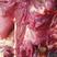 纯干冷鲜牛肉，保质保量全国发货厂家直销！