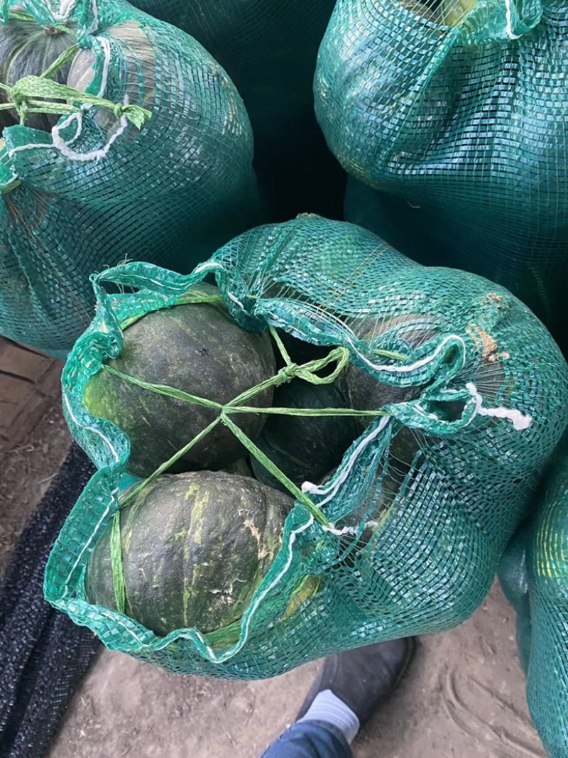 【精品】板栗南瓜，大量现货供应各种南瓜可视频看货