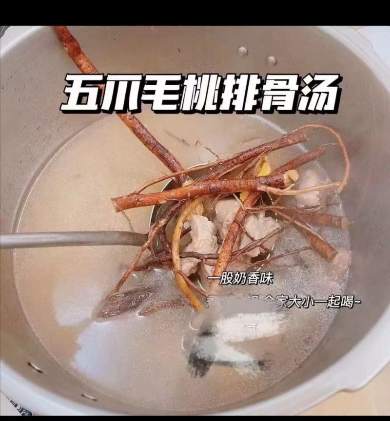 五指毛桃煲汤料