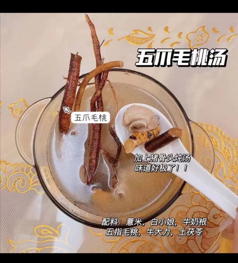 五指毛桃煲汤料