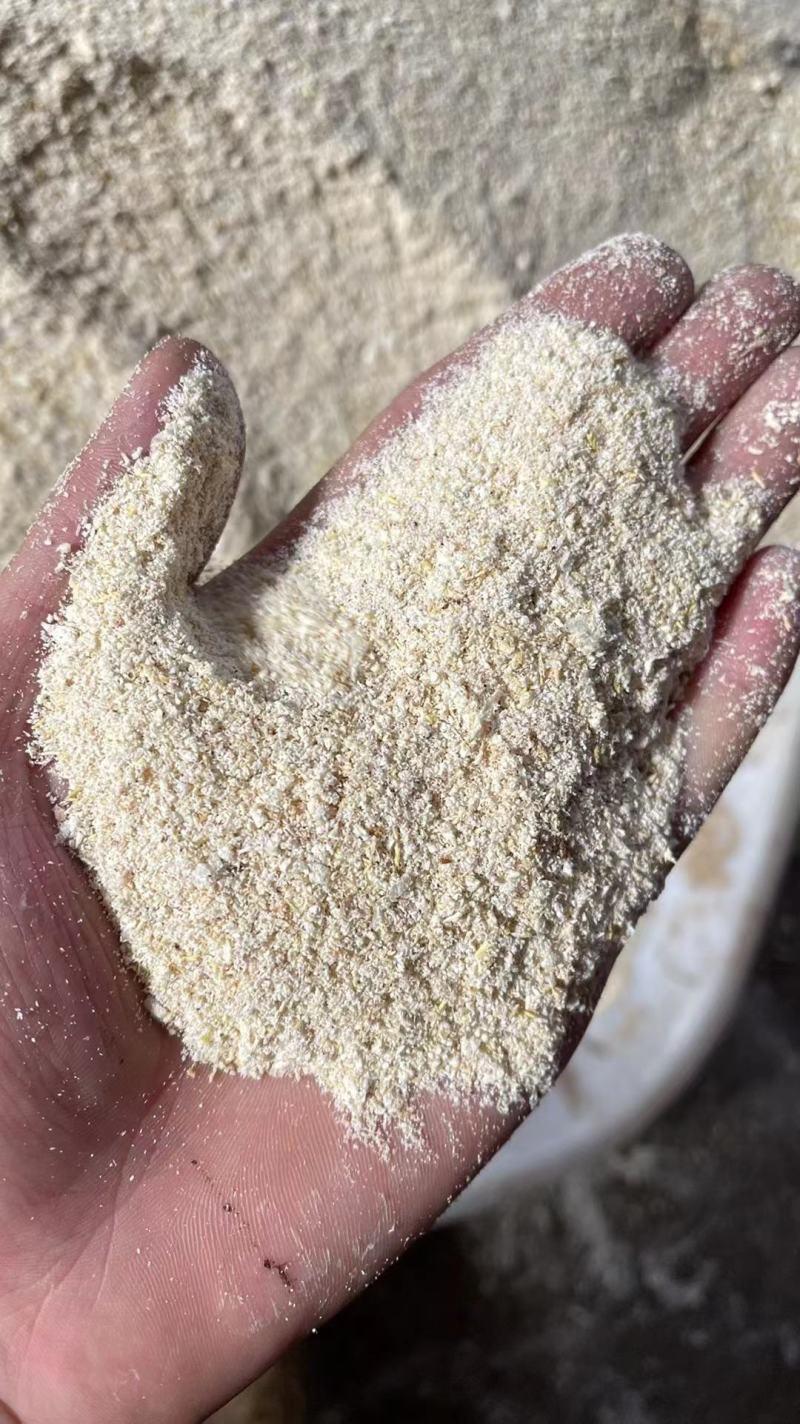 烘干豆渣颜色白适合各种养殖