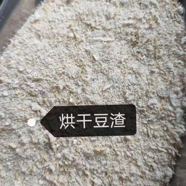 烘干豆渣颜色白适合各种养殖