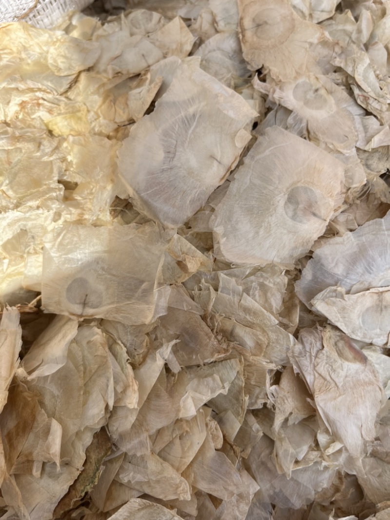 木蝴蝶。千层纸量大从优保质保量。文斌药业批发零售