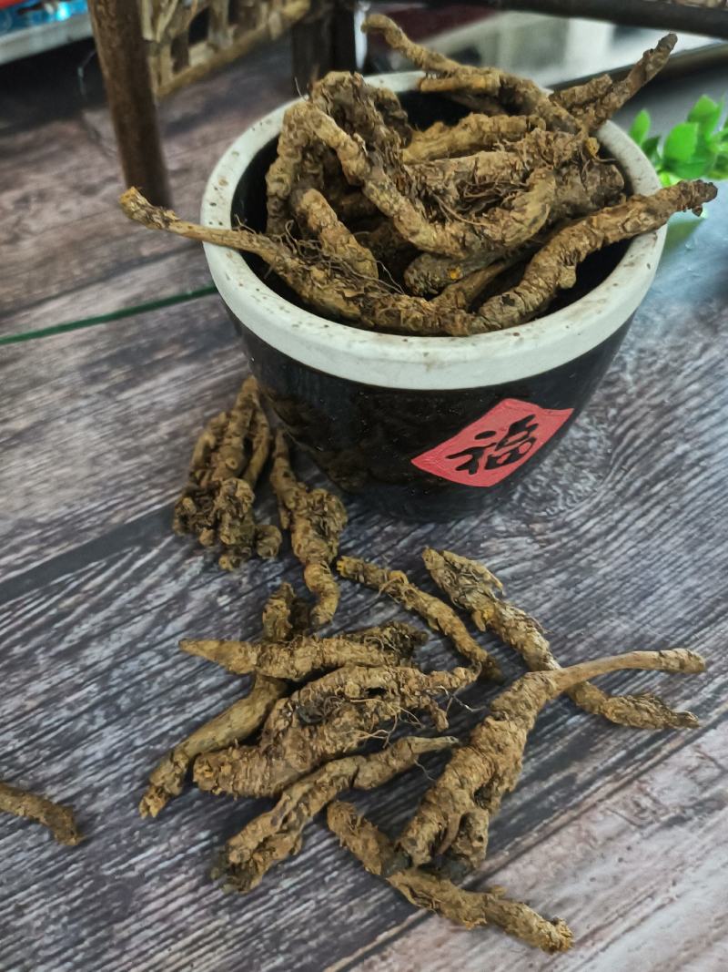 黄连：单支连过筛的新货质量好产地直销量大从优欢迎前来购买