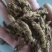 黄连:单支连过筛的新货质量好产地直销量大从优欢迎前来购买