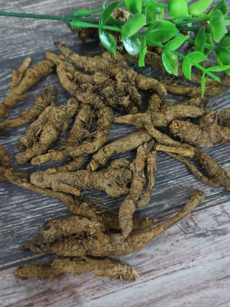 黄连：单支连过筛的新货质量好产地直销量大从优欢迎前来购买
