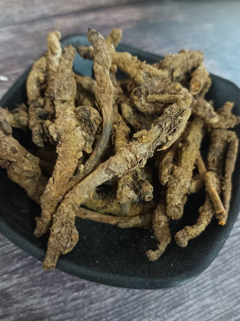 黄连：单支连过筛的新货质量好产地直销量大从优欢迎前来购买