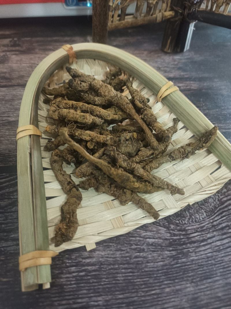 黄连：单支连过筛的新货质量好产地直销量大从优欢迎前来购买