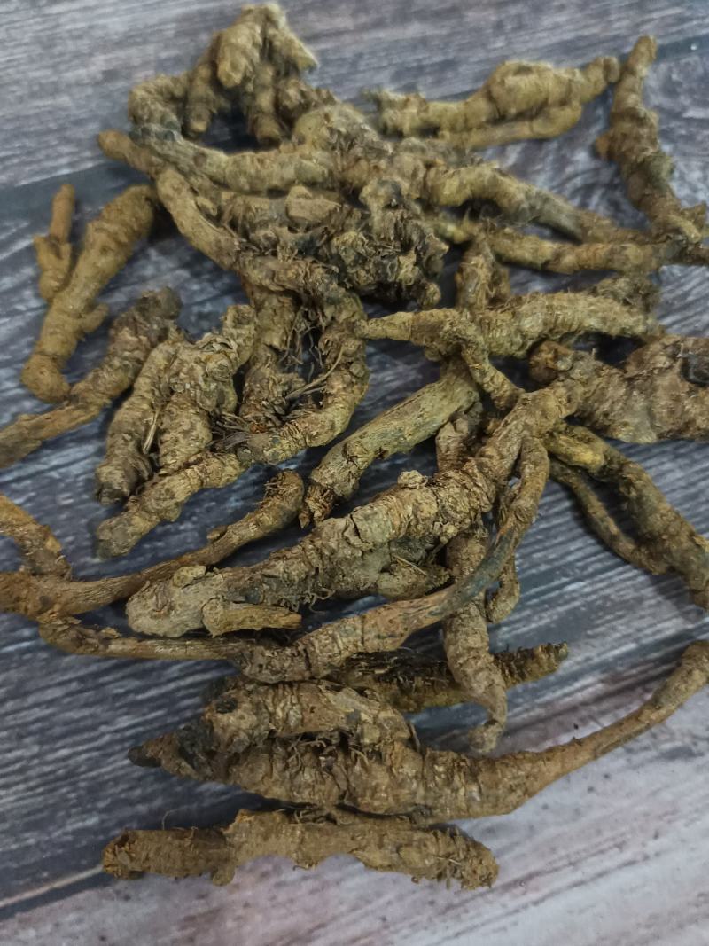 黄连：单支连过筛的新货质量好产地直销量大从优欢迎前来购买