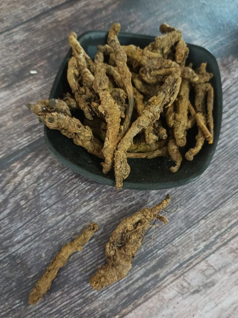 黄连：单支连过筛的新货质量好产地直销量大从优欢迎前来购买