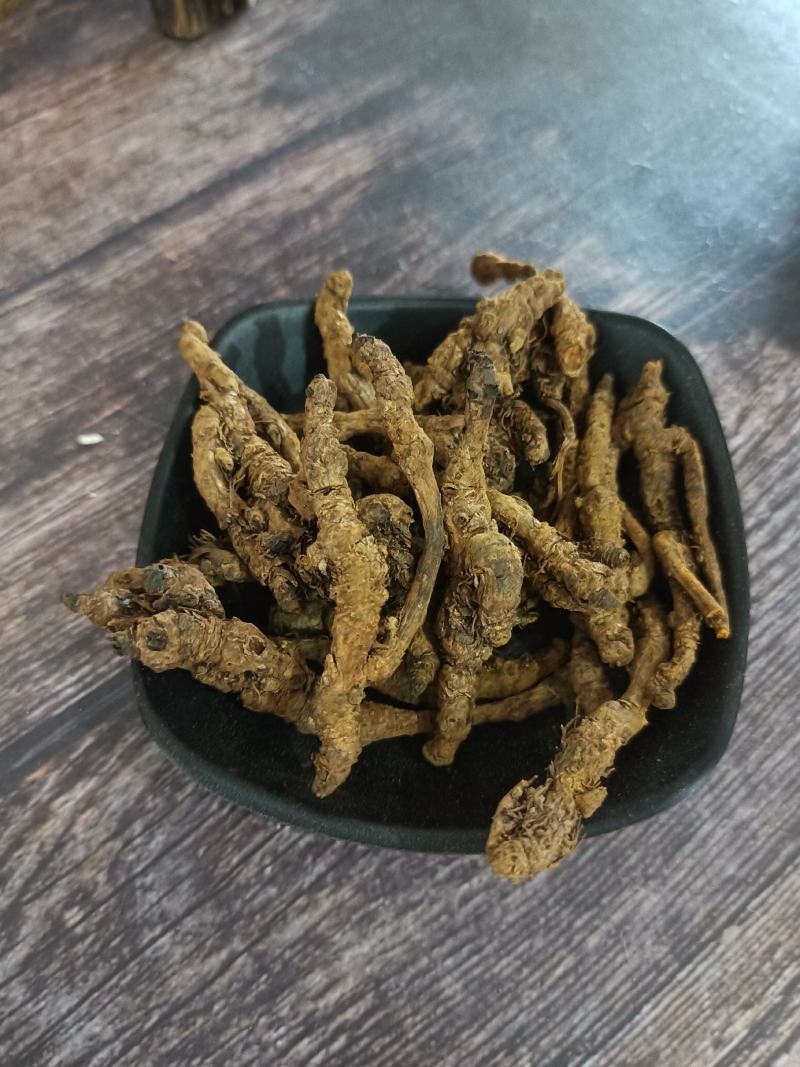 黄连：单支连过筛的新货质量好产地直销量大从优欢迎前来购买