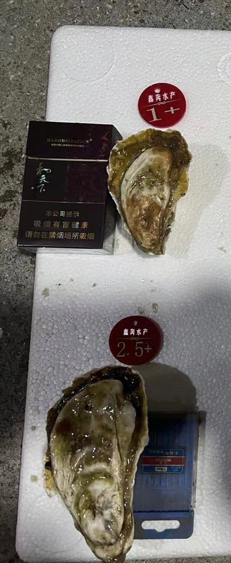 福建生蚝源头大量供应货源充足烧烤专用牡蛎产地直发