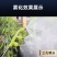 喷雾器喷头可调节4喷头农用雾化园林可调节