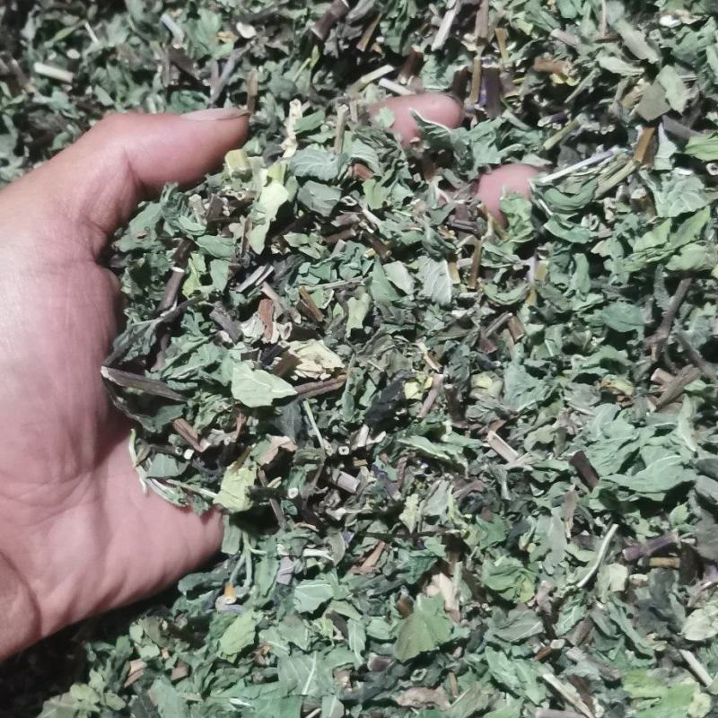 薄荷