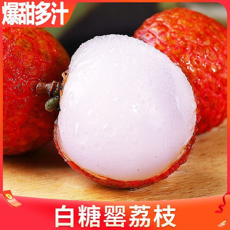 白糖罂荔枝嫁接苗，早熟品种