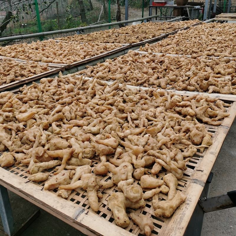 正品野生鸡头黄精中药材泡茶泡酒煲汤