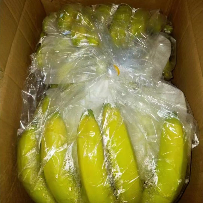 大量供应云南香蕉，平均每天到货一万箱，量大来盘