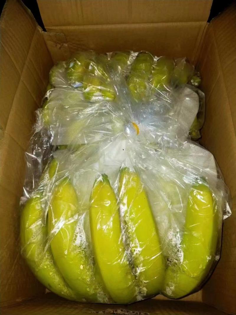 大量供应云南香蕉，平均每天到货一万箱，量大来盘