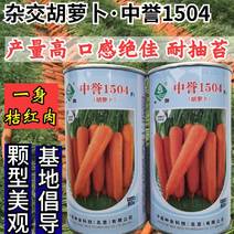 胡萝卜种子中蔬中誉1504高端口感型三红胡萝卜种子