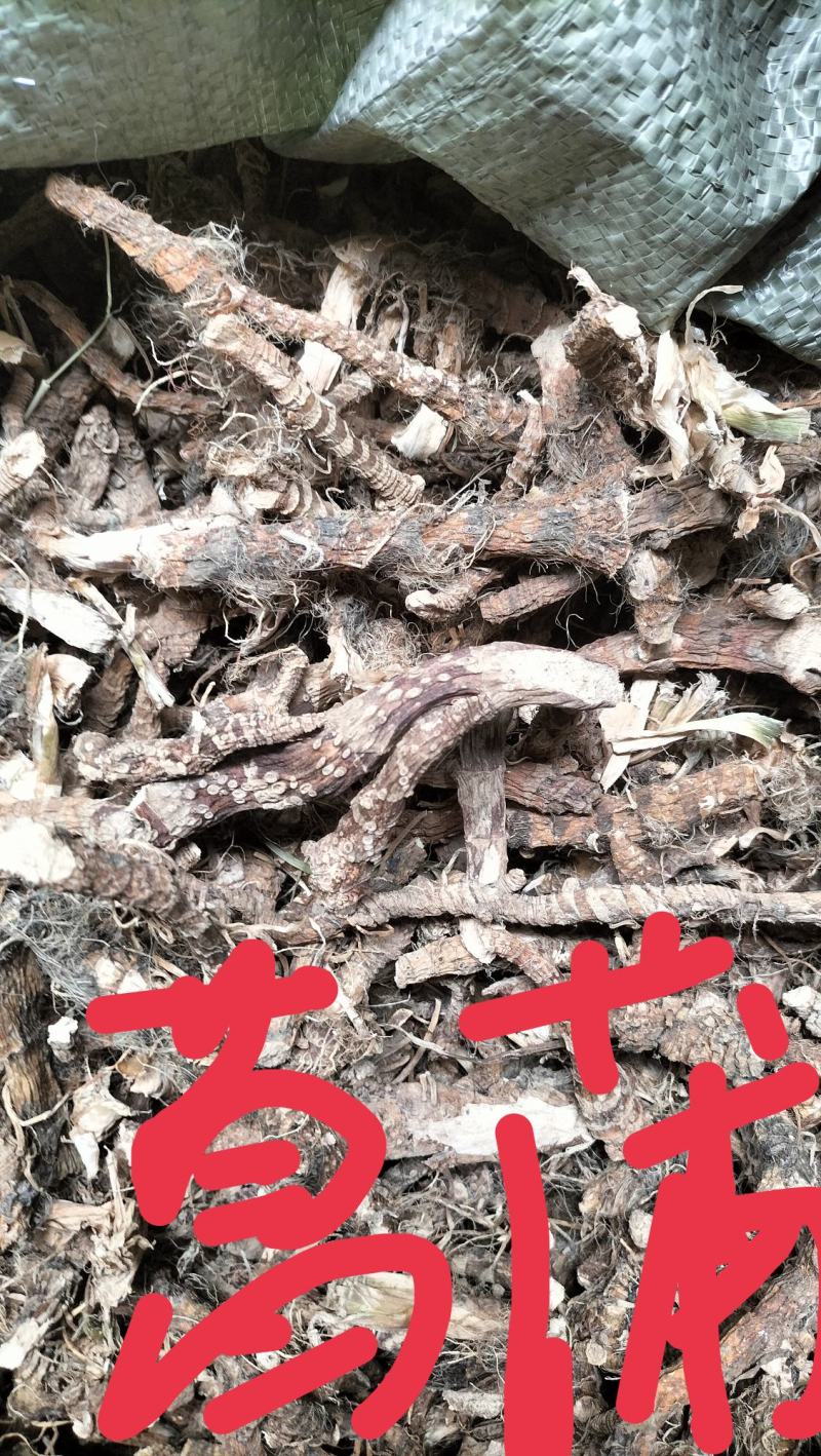 高山纯野生高海拔高含量石菖蒲天然无污染全干新货