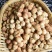 白豆蔻香料白豆蔻香料调味白豆蔻无硫无添加