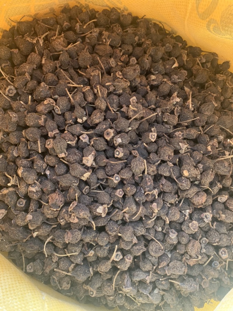 金刺梨干果现货发货无籽中药材泡酒代饮茶