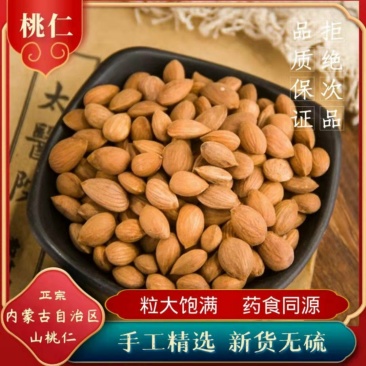 桃仁山桃仁光桃仁炒桃仁规格齐全专营桃仁