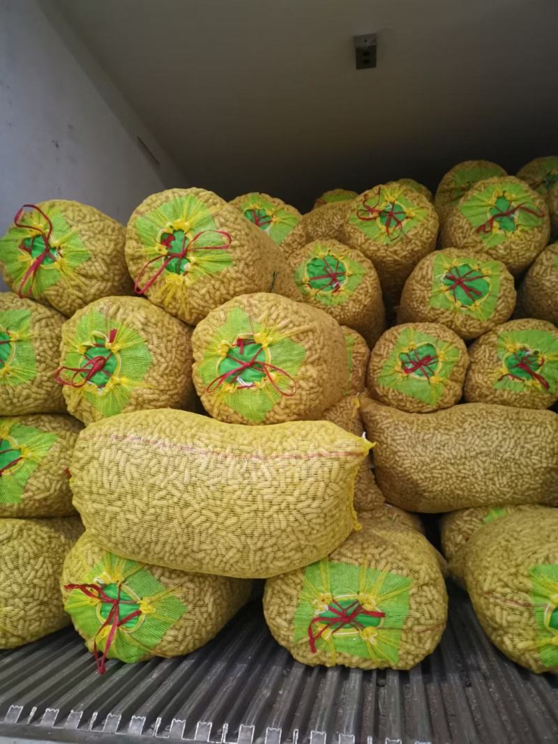 过筛子手捡果，小鲁花，白沙大果精品鲜花生对接商超市场档口