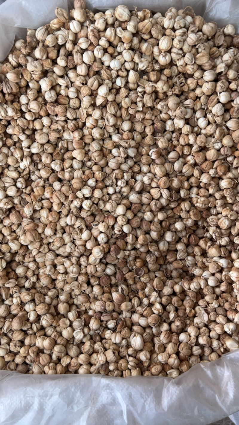 白蔻香料大全白豆蔻白蔻十三香卤肉料1⃣️公斤起批