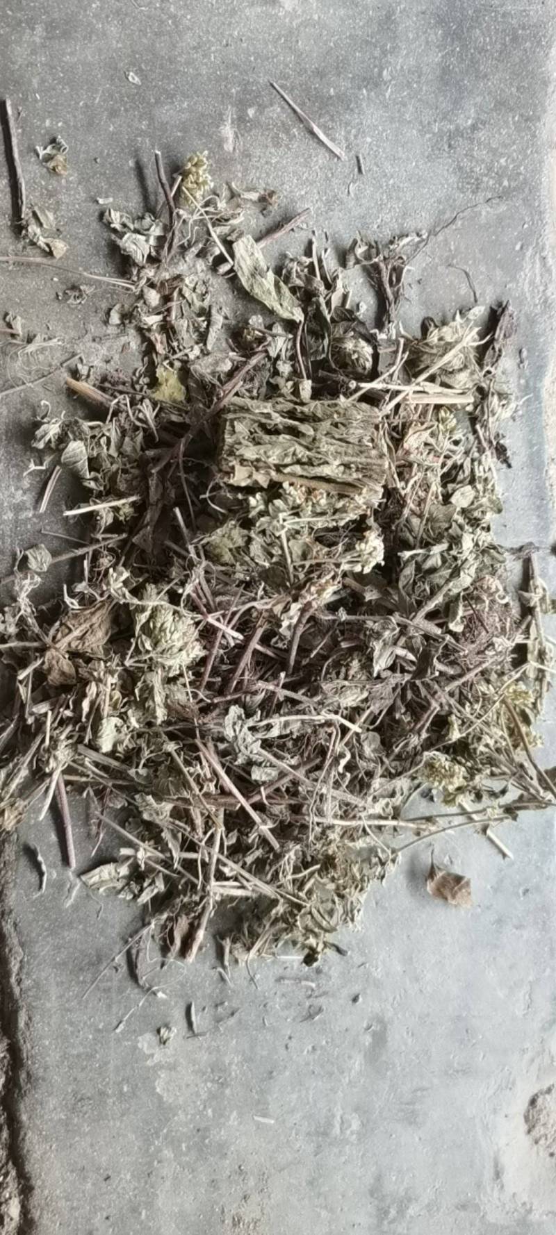 土茵陈，野生品种，产地直供，量大从优！