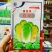 品质优良的娃娃菜种子义和喜庆娃娃菜杂交种春秋早熟品种