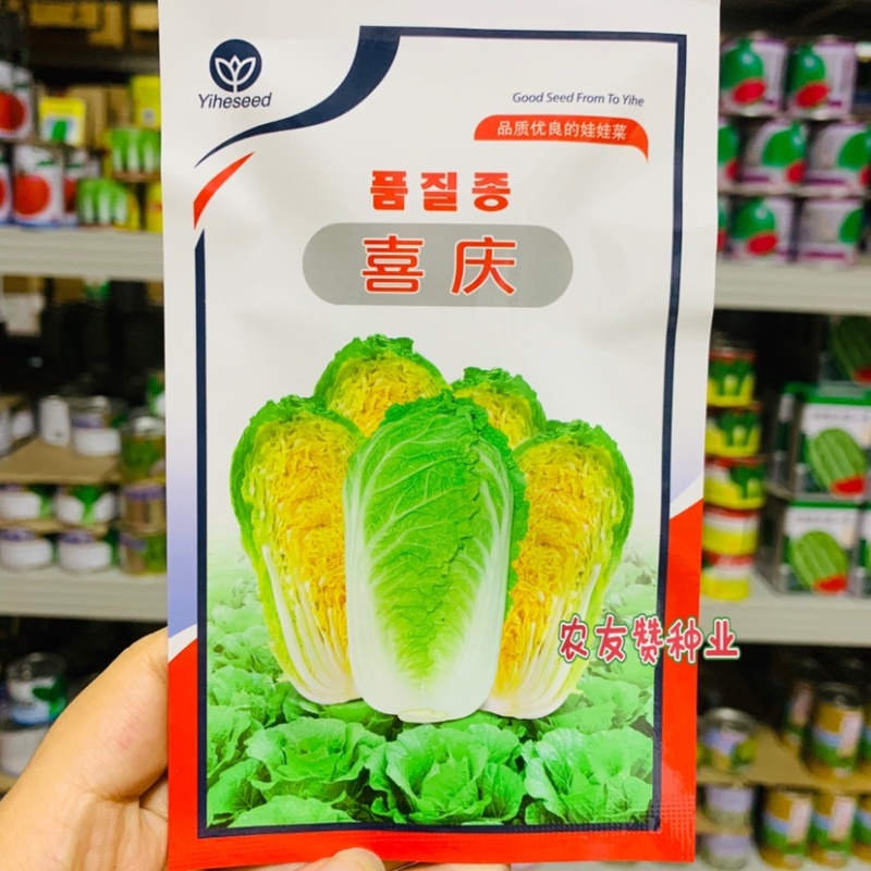 品质优良的娃娃菜种子义和喜庆娃娃菜杂交种春秋早熟品种