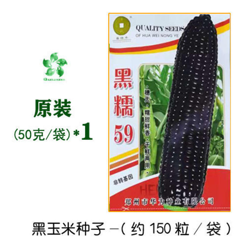 高产玉米种子鲜食水果玉米种子甜糯黑色彩色大田播种玉米种子