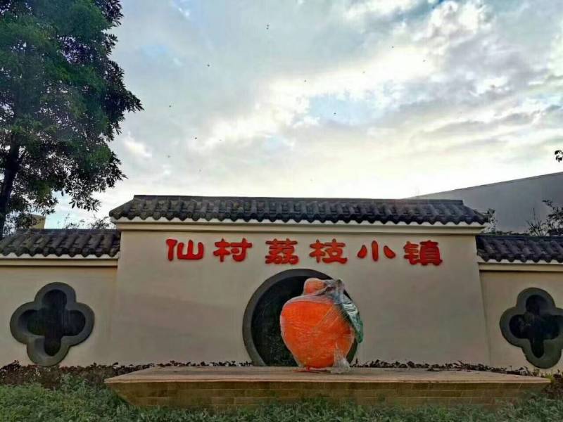 增城市基岗村仙进奉荔枝鲜果，源产地发货顺丰包邮