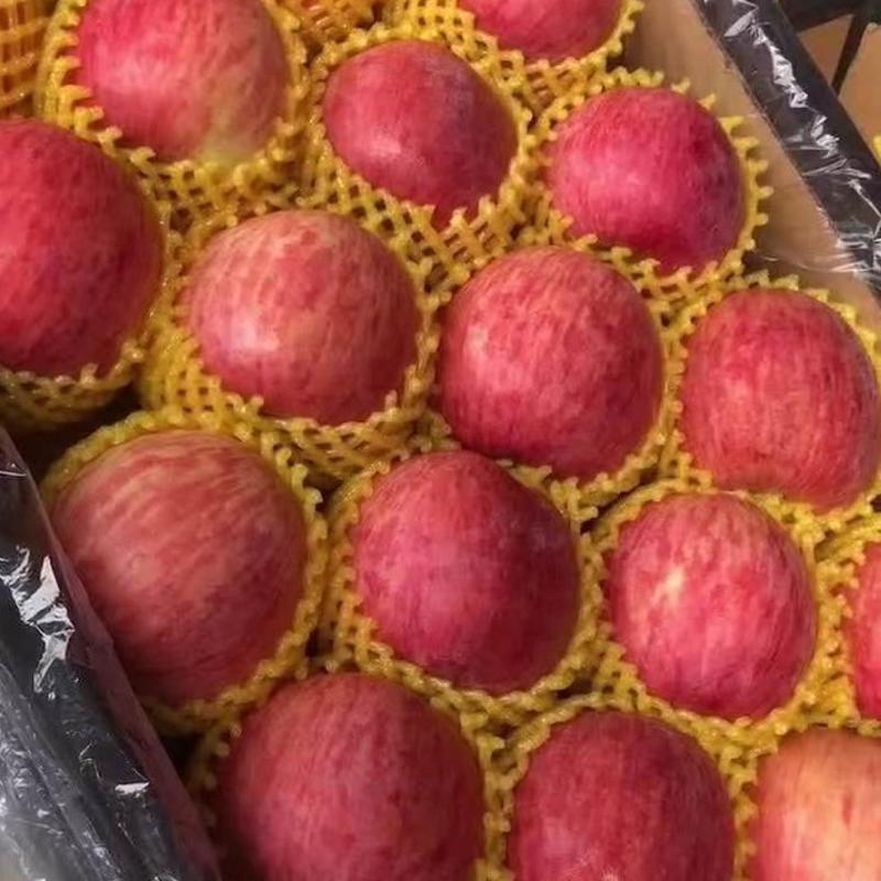 精品富士苹果产地直供，货源充足口感脆甜，质优价廉