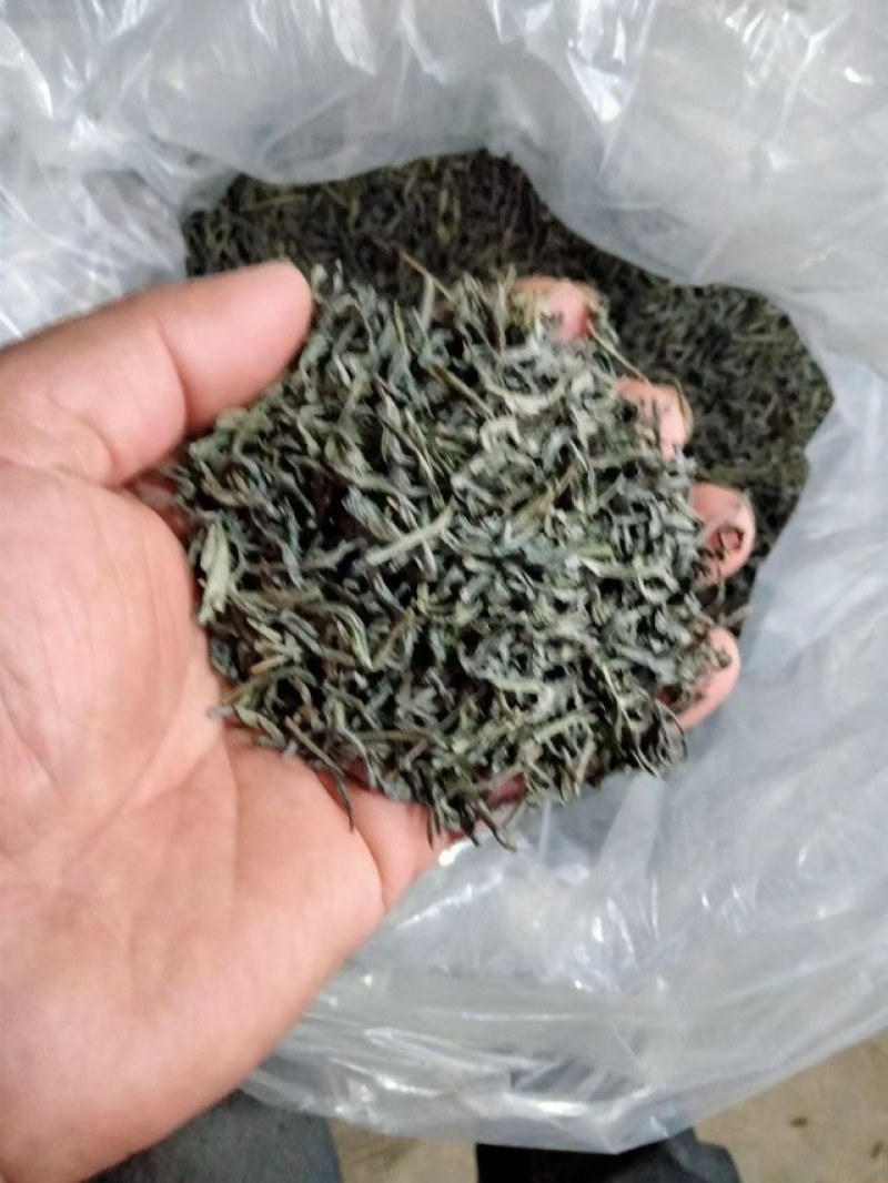 绿茶