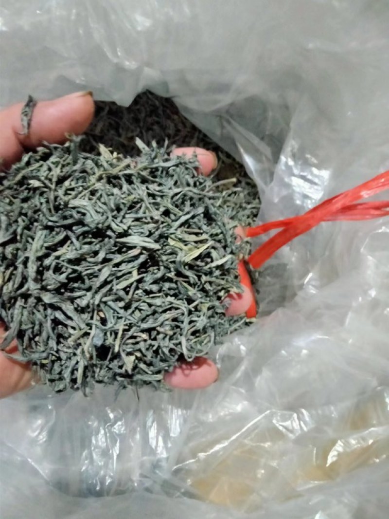 绿茶