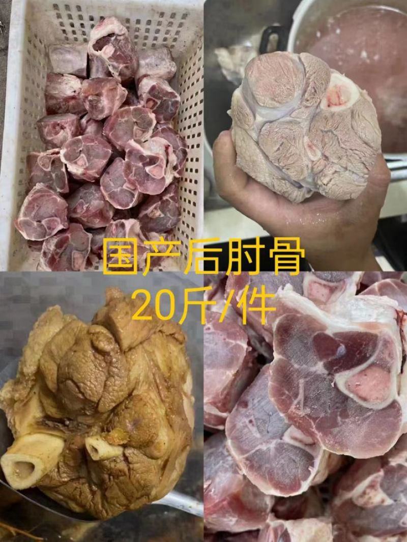 国产后肘骨