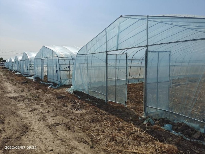 大棚骨架种植棚插地棚西瓜棚蔬菜棚