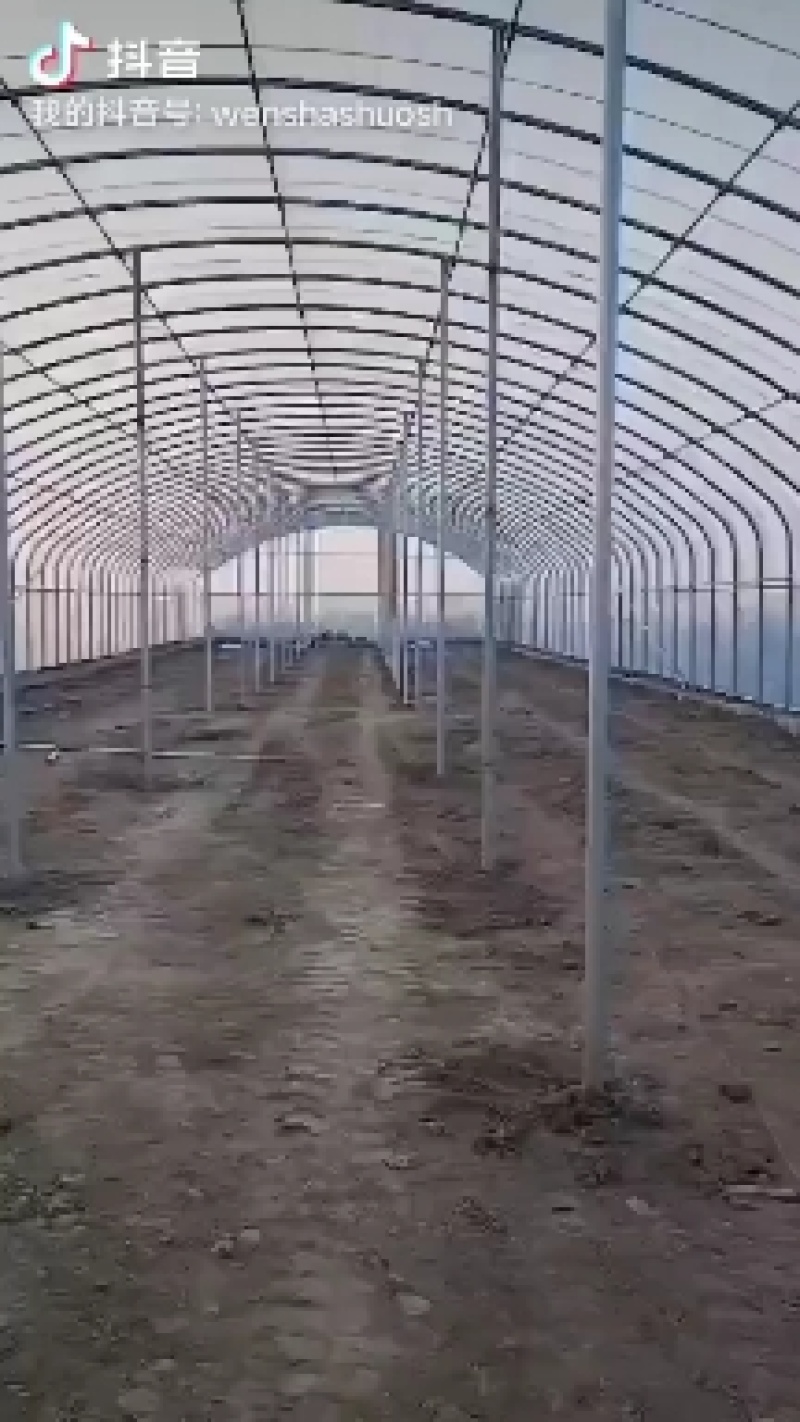 厂家定制无支柱椭圆管养殖大棚骨架种植大棚坚固耐用价格实恵